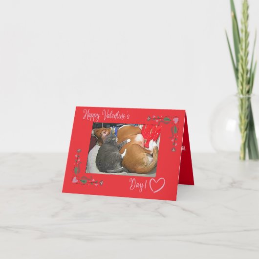 Fijne Valentijnsdag, kat en hond Bedankkaart (Voorkant)
