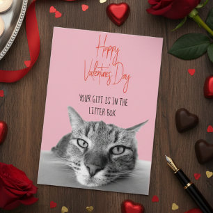 Fijne Valentijnsdag van kat tot menselijke grappig Kaart
