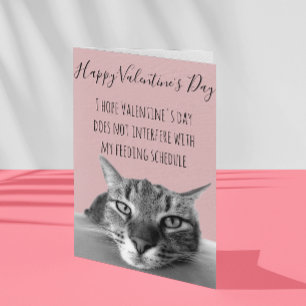 Fijne Valentijnsdag van kat tot menselijke Humor Kaart