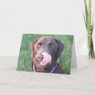 Fijne verjaardag Chocolate Lab Cute & Funny Card! Kaart