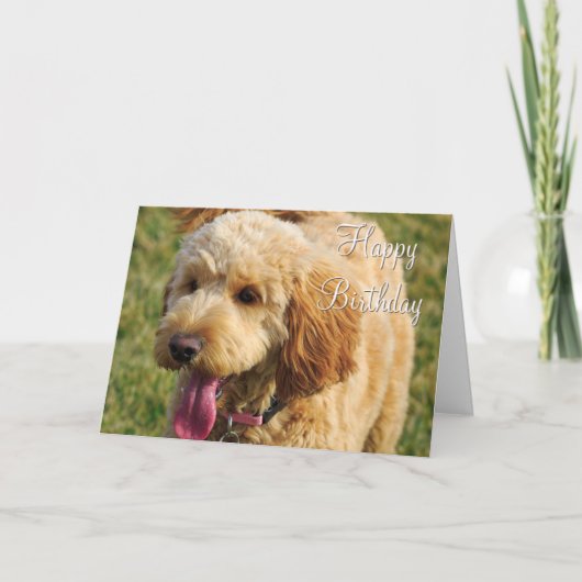 Fijne verjaardag Goldendoodle Dode Kaart (Voorkant)
