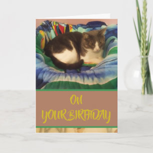 Fijne verjaardag: Grijs en Witte Kat Kaart