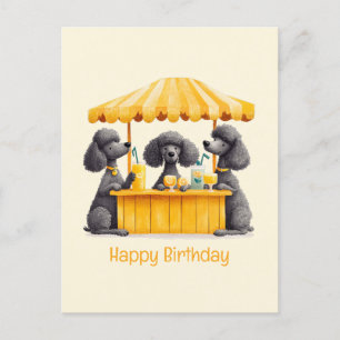 Fijne verjaardag Standaard Poodle Honden Limonades Briefkaart