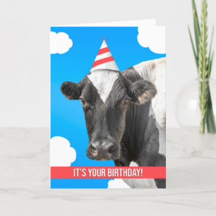 Fijne verjaardag voor iedereen Koe Humor Feestdagen Kaart