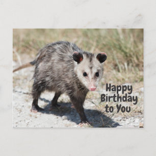 Fijne verjaardag voor je Cute Opossum Walking Briefkaart