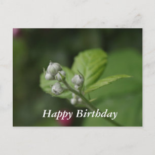 Fijne verjaardag, zomer wilde frambozen bloemknopp briefkaart