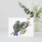 Fijne  vogels briefkaart (Staand voorkant)