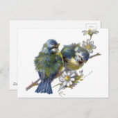 Fijne  vogels briefkaart (Voorkant / Achterkant)