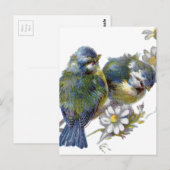 Fijne vogels briefkaart (Voorkant / Achterkant)