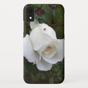 Fijne witte rozenNatuur iPhone XR Hoesje