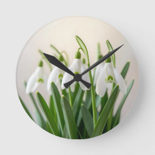 Fijne Witte Sneeuwklokje Bloemen Lente Bloei Ronde Klok
