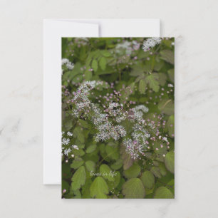 Fijne witte zomerbloemen notitiekaartje