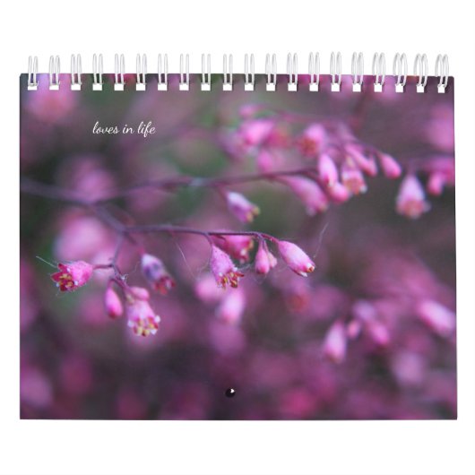 Fijne zomerbloemen kalender (Hoes)