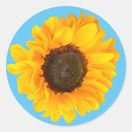 Fijne zonnebloem ronde sticker (Voorkant)