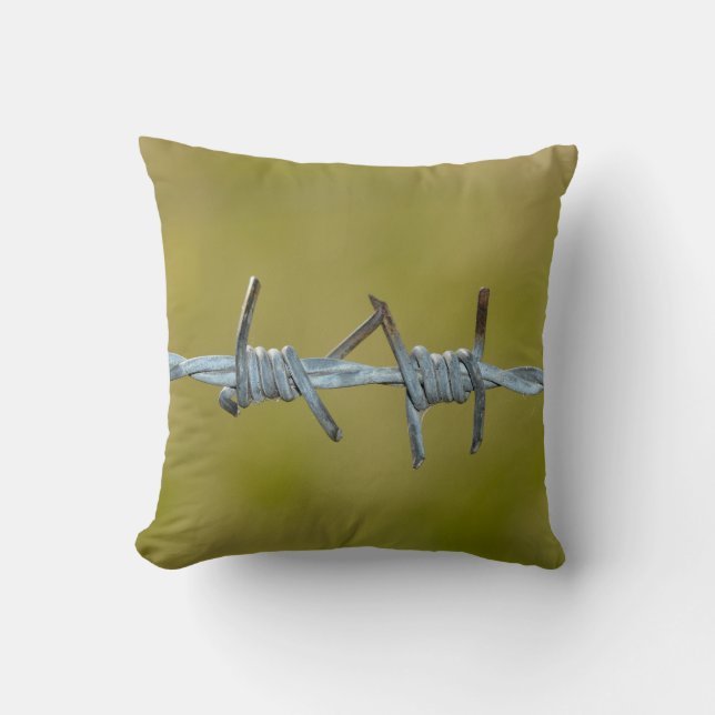 Fil de fer barbelé - coussin (Recto)