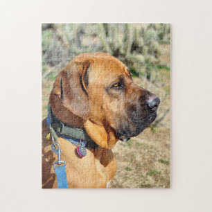 Fila Brasiliero Mastiff Jigzaag Puzzle Legpuzzel