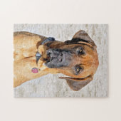 Fila Brasiliero Mastiff Puzzle (Horizontal)