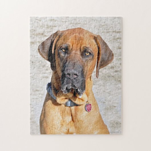 Fila Brasiliero Mastiff Puzzle (Vertical)