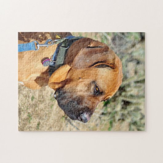 Fila Brasiliero Mastiff Puzzle (Horizontal)