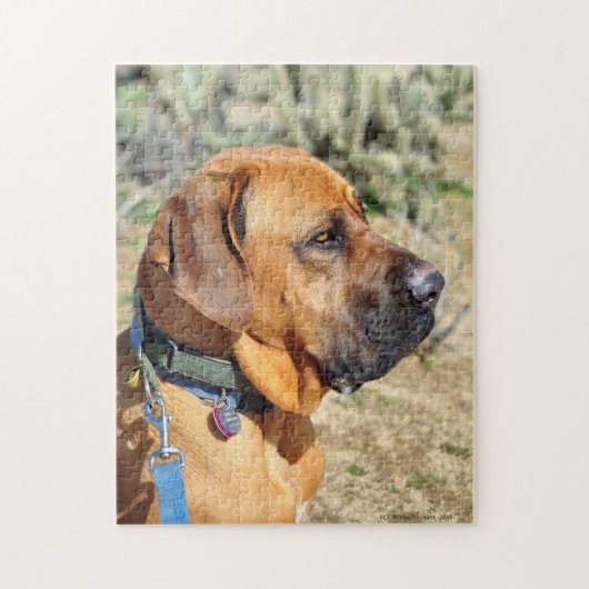 Fila Brasiliero Mastiff Puzzle (Vertical)