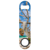 Filets de pêche séchant sur la plage (Dos)