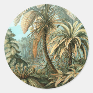 Filicinae door Ernst Haeckel, Oude Varens Planten Ronde Sticker