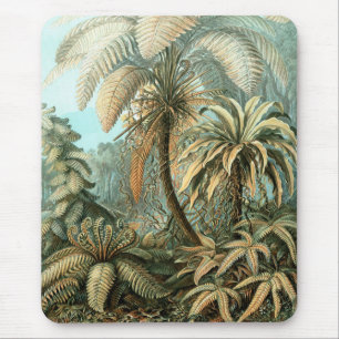 Filicinae door Ernst Haeckel,  varens Planten Muismat