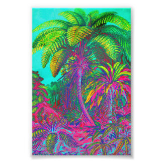 Filicinae Trees en Ferns Foto Afdruk