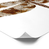 Filigree Skimmer Dragonfly Poster (Hoek)