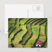 Filipijnen, Batad, verhoogd uitzicht rijst Briefkaart (Voorkant / Achterkant)