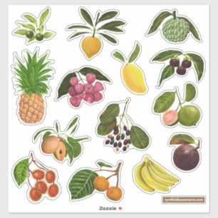 Filipijns / Tropisch fruit Sticker
