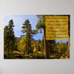 Filipijnse Poster 4:6