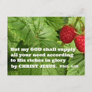 Filippenzen 4:19 Maar mijn God zal al uw Briefkaart