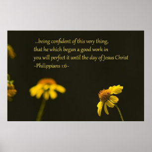 Filippijnen 1:6 poster
