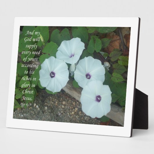 Filippijnen 4:19 fotoplaat (Zijkant)