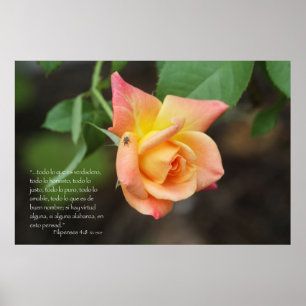 Filippijnen 4:8 con rosa poster