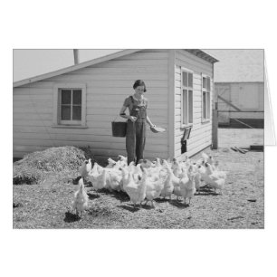 Fille de ferme nourrissant des poulets, 1936