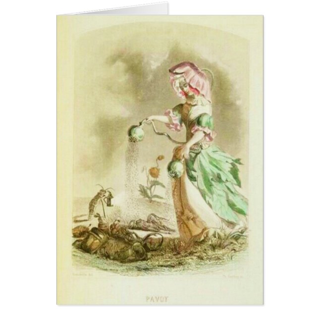Fille de pavot (Devant)