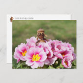 Fille elfe d'Acorn sur la carte postale de la fleu (Devant / Derrière)