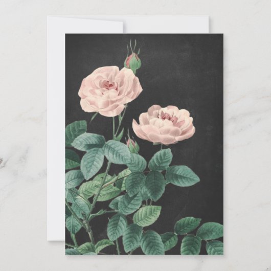 Fille Rose premier anniversaire Invitation tableau (Dos)