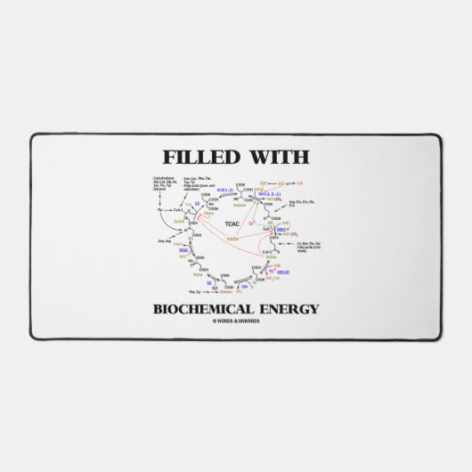 Filled with Biochemical Energy Krebs Cycle Hummor (Recto)