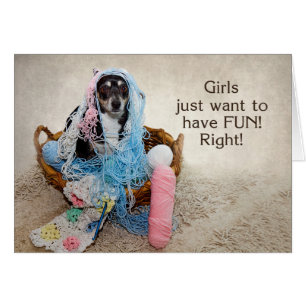 Filles ayant l'amusement - HUMOUR - CHIEN