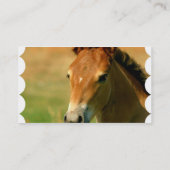 Filly Visitekaartje (Achterkant)