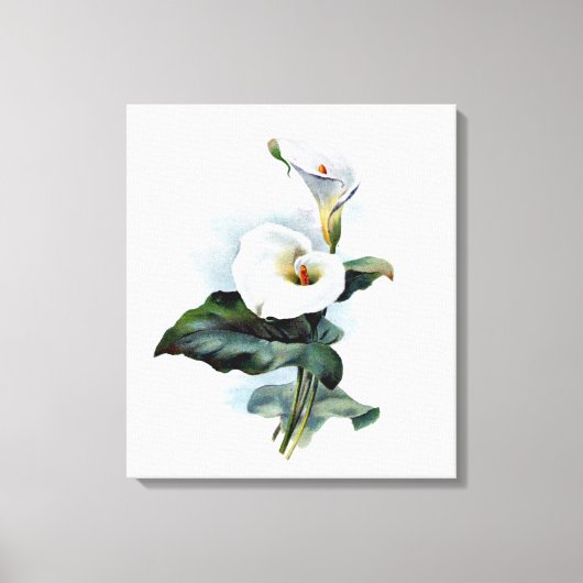 film Calla Lily Print (Voorkant)