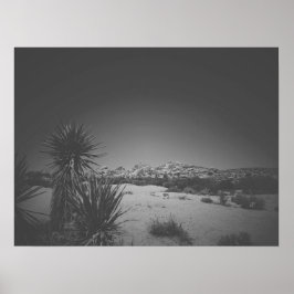 Filmnoir Black en White Joshua Tree Poster