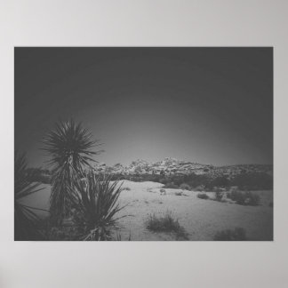 Filmnoir Black en White Joshua Tree Poster