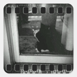 Filmstrips Lucy Vierkante Sticker