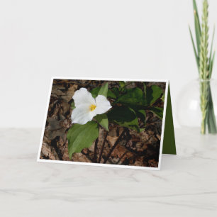 Filosofische bloem trillium wenskaart kaart
