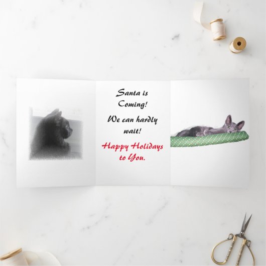 Fin D'année Trois Volets Carte Triptyque - Excitement de Noël (Intérieur)