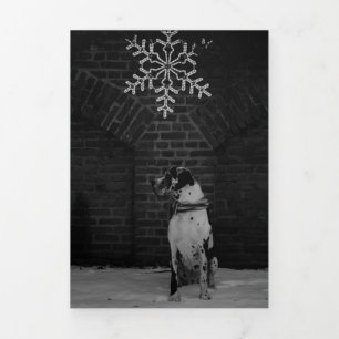 Fin D'année Trois Volets Photos carte de l'année